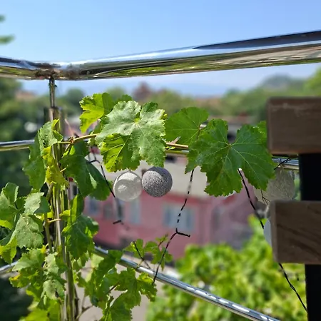 Artistic Loft With Amazing View Διαμέρισμα *