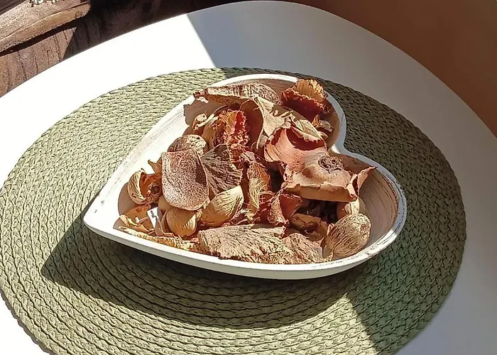 Artistic Loft With Amazing View * 普罗夫迪夫