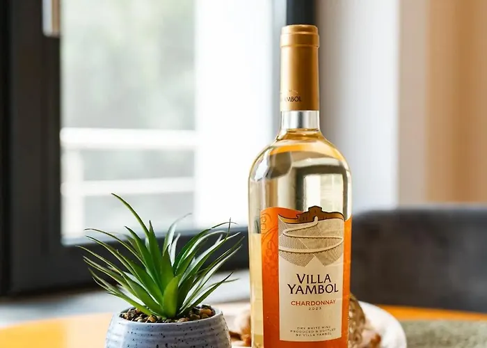 Artistic Loft With Amazing View 普罗夫迪夫